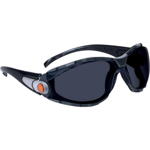 DELTA PLUS Pacaya Smoke Koruyucu Gözlük